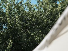 -concerto协奏曲咖啡店