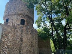 -J Create城市露营咖啡·简餐·宠物(上海动物园店)