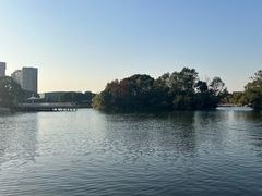 -新江湾城公园