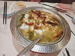 -姚姚酸菜鱼·金戈戈香港豉油鸡(喜荟城联名店)