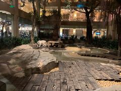 与白虎共餐-白虎自助餐厅·真老虎·景观自助餐厅(广州长隆酒店)