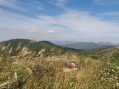 -东白山