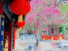-潭柘寺景区