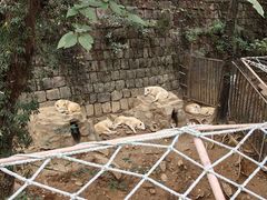 -杭州长乔极地海洋公园