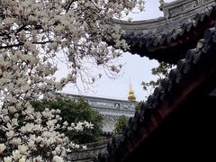 -龙华寺