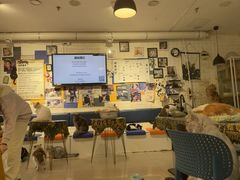 -平行世界·猫咖(首经贸店)