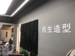 -风生造型