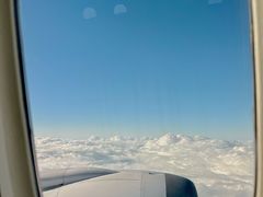 -全日本空输株式会社(上海办事处)