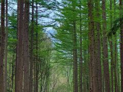 -洛阳白云山景区