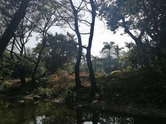 -人民公园(罗湖区)