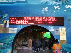 -蓬莱欧乐堡海洋极地世界