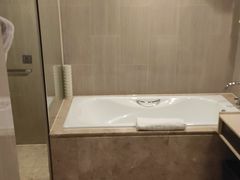 -济南绿地美利亚酒店