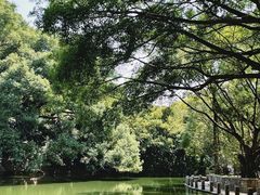 -人民公园(罗湖区)