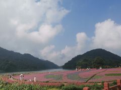 -广州市石门国家森林公园