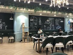-安格丽娜·狗咖·猫咖羊驼咖(春熙路百盛商场店)