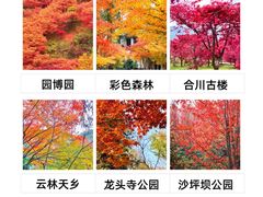 -南山植物园