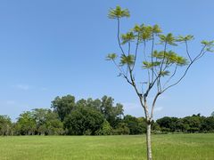 -福建鲤鱼洲酒店