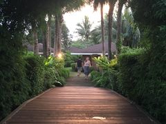 -椰树岛海滩度假村