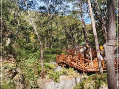 -大岭沟猕猴桃谷风景区