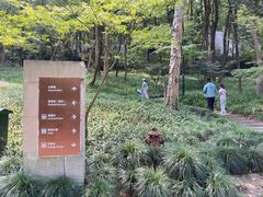 -九曜山