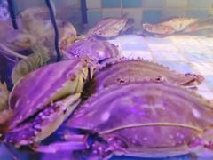 -四海蒸鲜蒸汽海鲜自助(北戴河店)