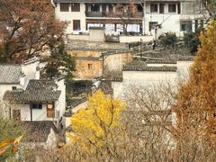 -塔川景区