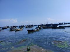 -海源公园