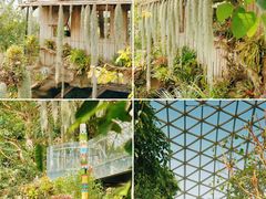 -上海辰山植物园