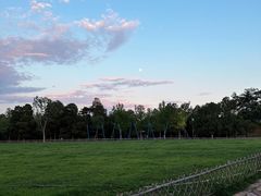 -北京西山国家森林公园