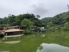 -桃园美食(水库路店)