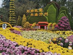 -南山植物园