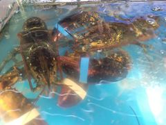 -87号烧烤海鲜·大排档(金沙滩店)
