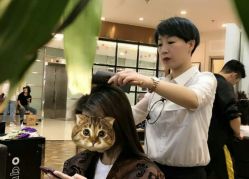 -时尚殿堂hair salon