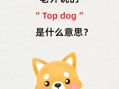 -环球·雅思托福·THiNKSAT留学语言培训学校(国贸校区)