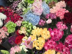 -双季花艺园艺市场(浦东店)