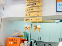 -野人先生现做冰淇淋(西安赛格店)