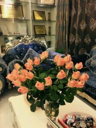 -悦芳庭美肤美体品牌集合店