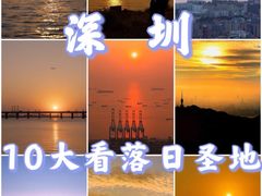 -宝安西湾红树林湿地公园