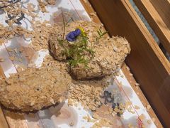 -十二月·宁夏盐池滩羊肉火锅