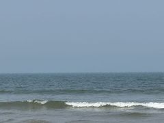 -日照海滨国家森林公园