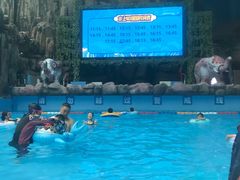 -青岛东方影都融创水世界