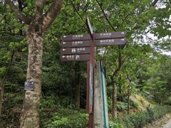 -东莞市大岭山森林公园