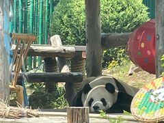 -大连森林动物园