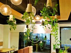 -柴务处·柴犬主题狗咖