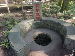 -波尔登森林公园