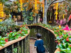 -正佳雨林生态植物园