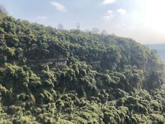 -川西竹海景区