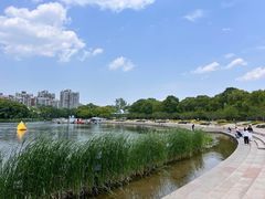 -新江湾城公园