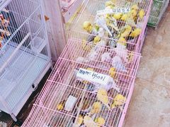 -山东柏宁水族批发广场