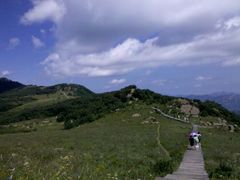 白草畔高山草甸-白草畔自然风景区